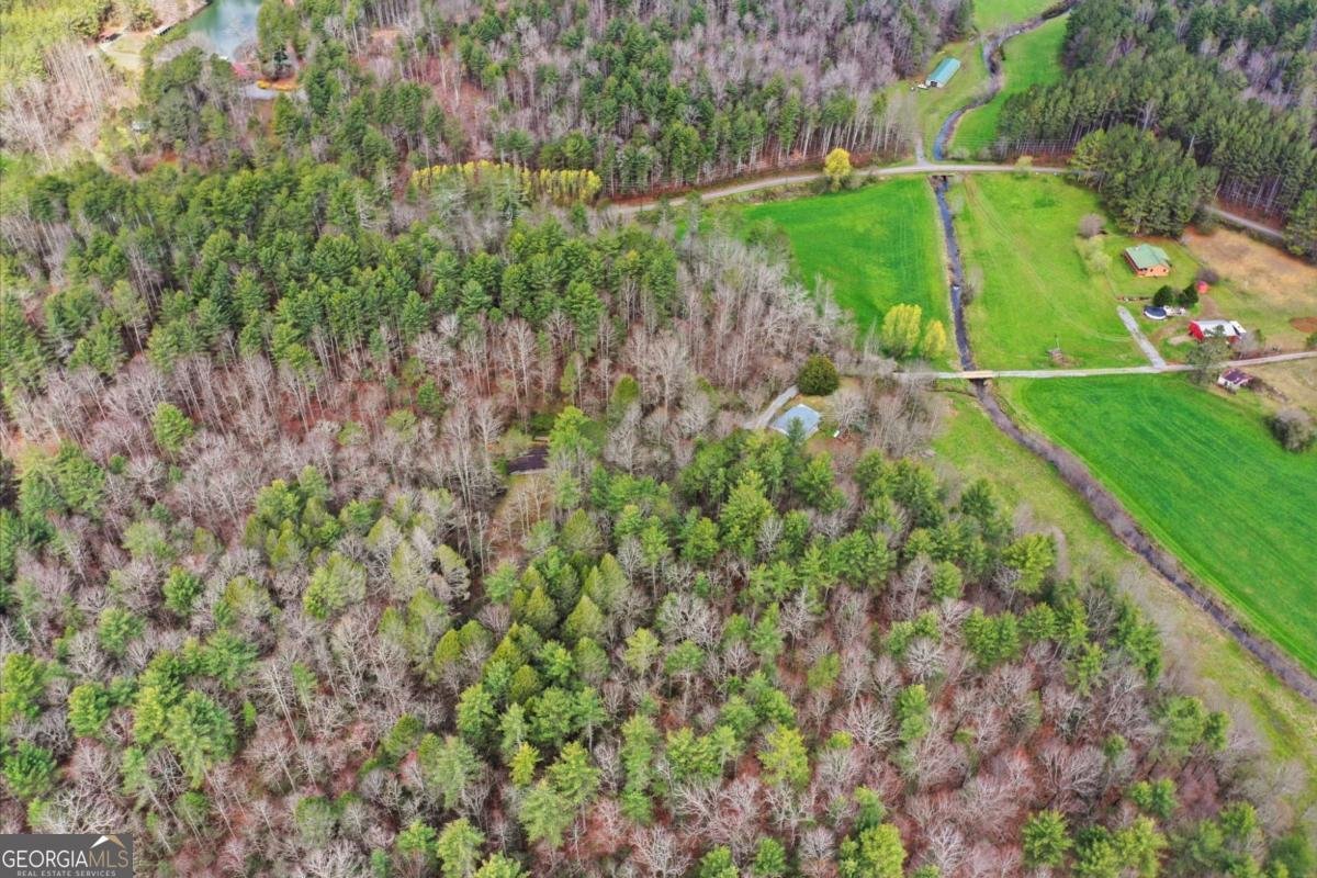 229 Seth Hyatt Road Ellijay - Photo 26