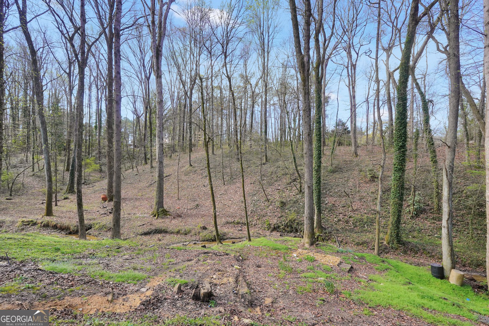 4022 Creel Drive Lithia Springs - Photo 37