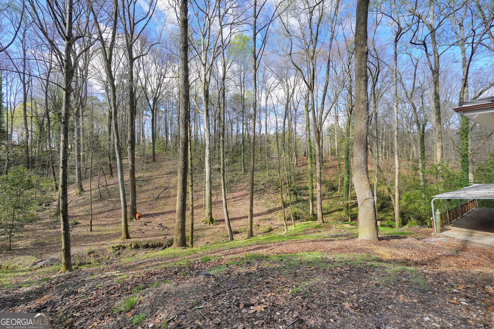 4022 Creel Drive Lithia Springs - Photo 38