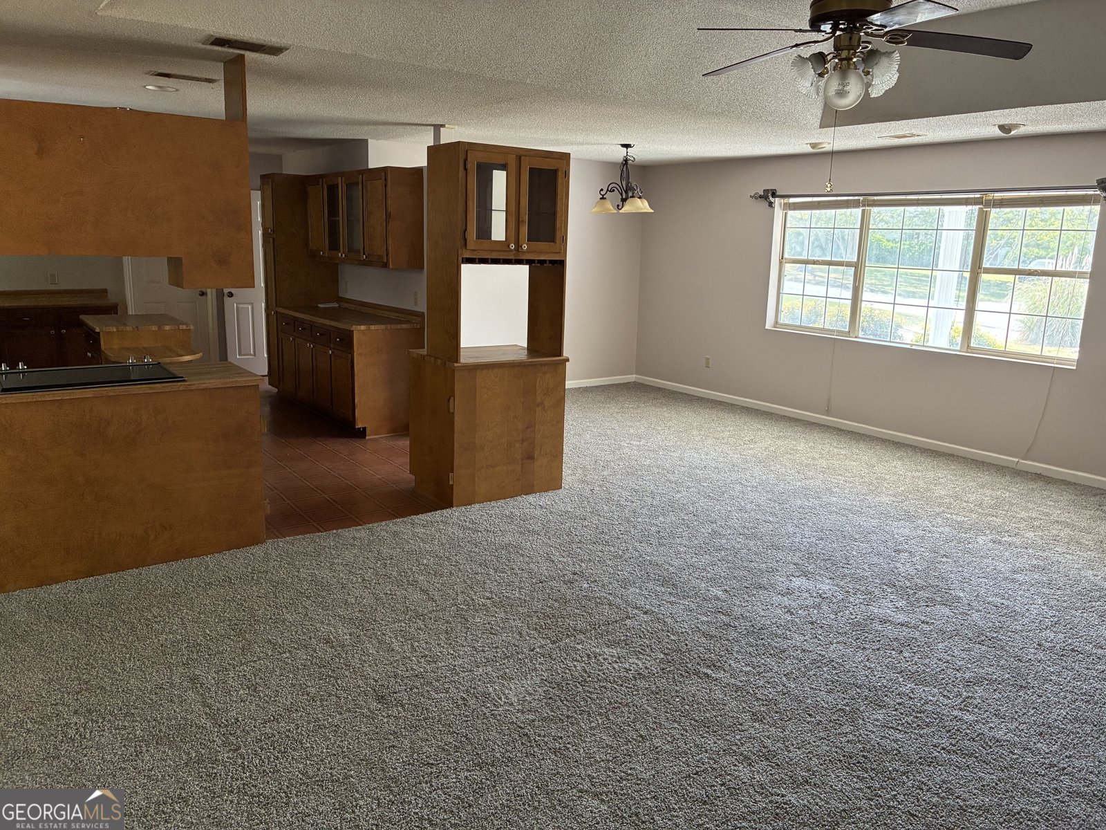 112 Jackson Road Statesboro - Photo 9