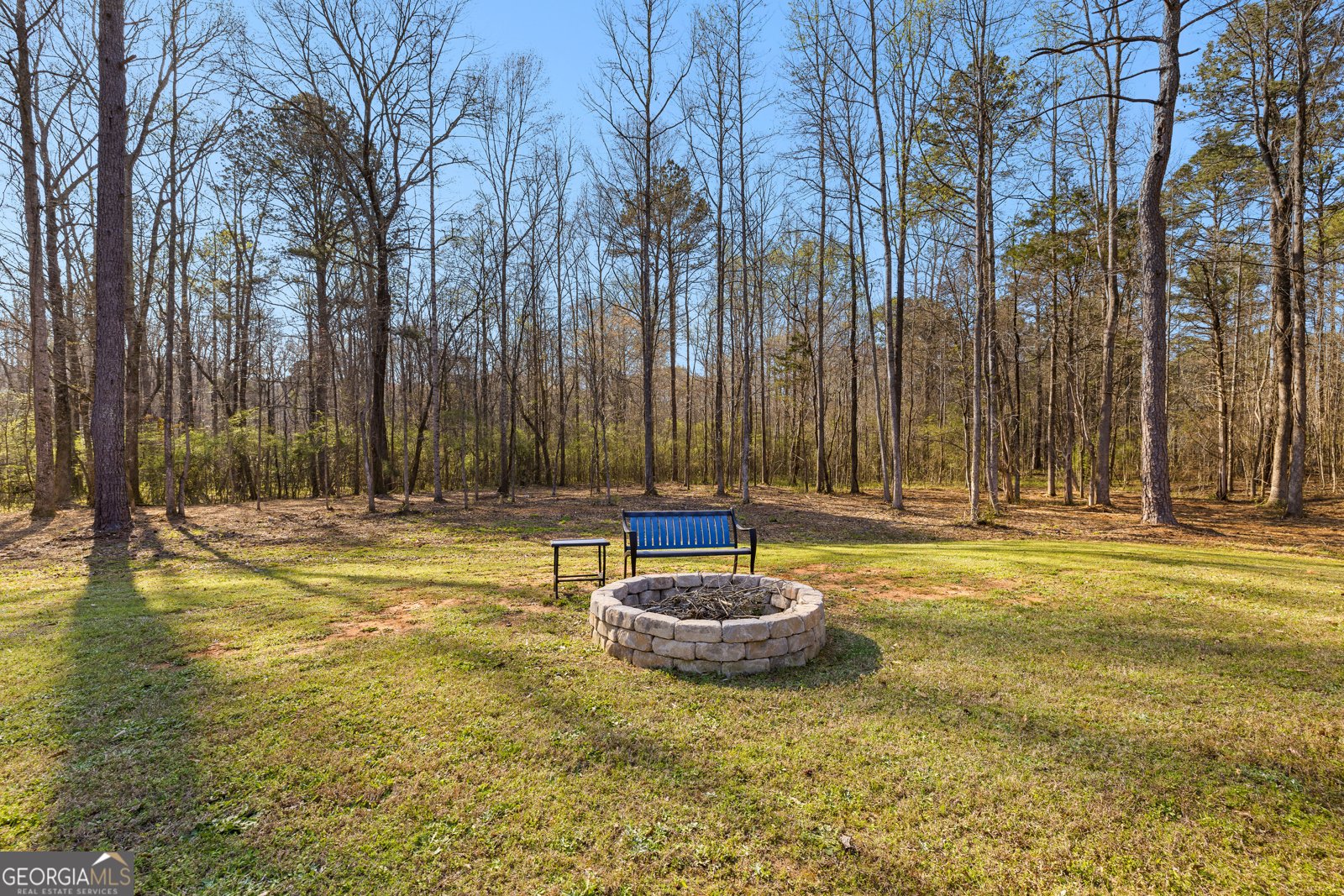 723 Sid Hunter Road Senoia - Photo 35