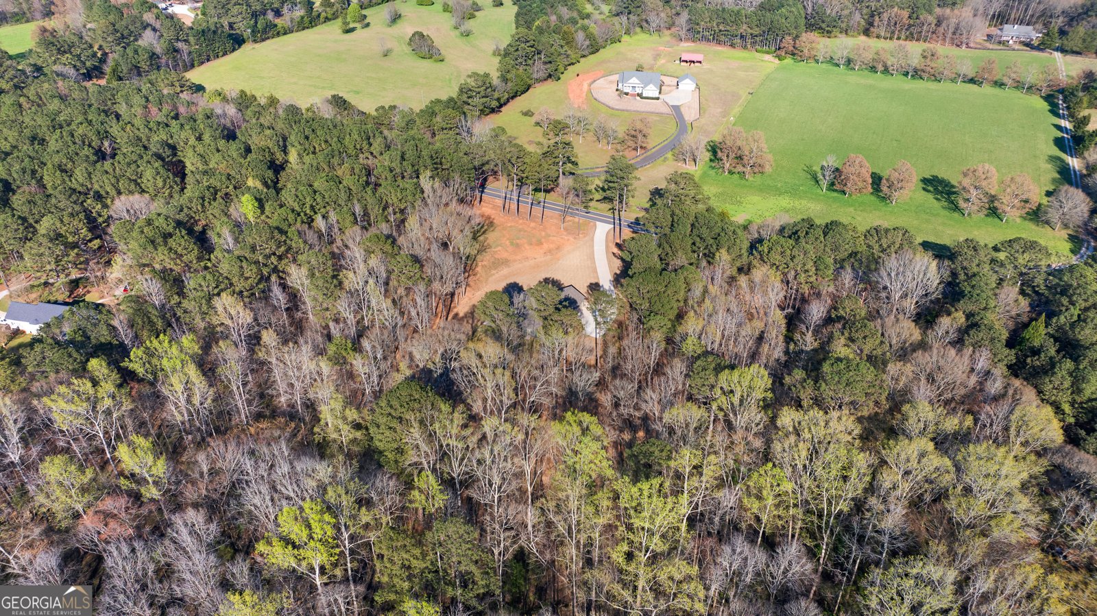 723 Sid Hunter Road Senoia - Photo 41