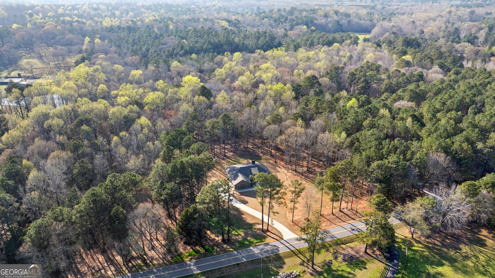 723 Sid Hunter Road Senoia - Photo 44