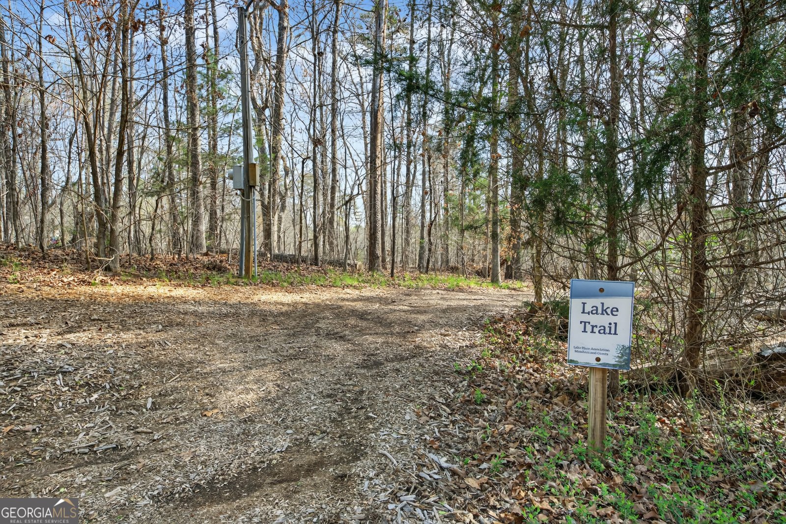 390 Lake Place Drive Lavonia - Photo 28