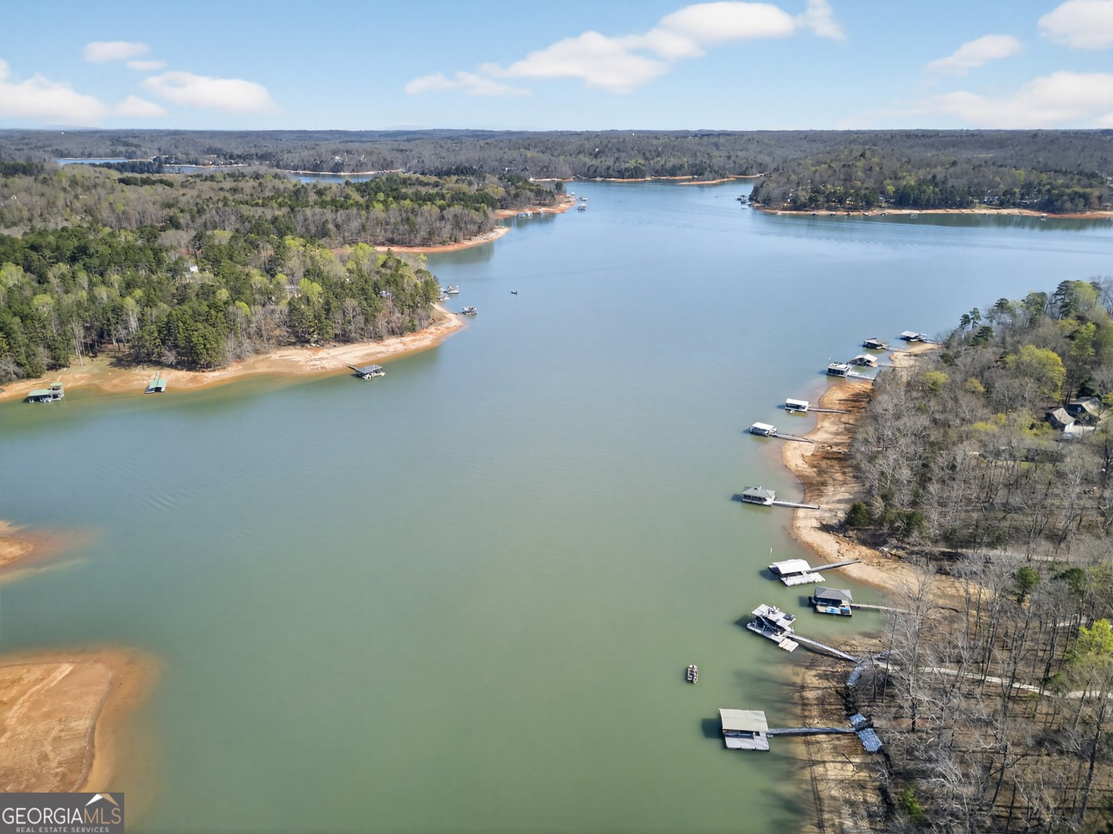 390 Lake Place Drive Lavonia - Photo 30