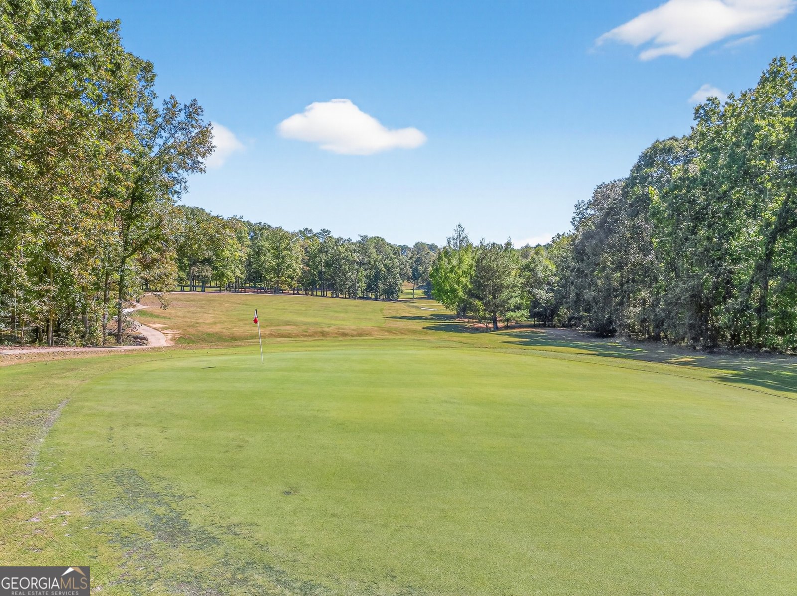 1770 Lane Creek Drive Bishop - Photo 92