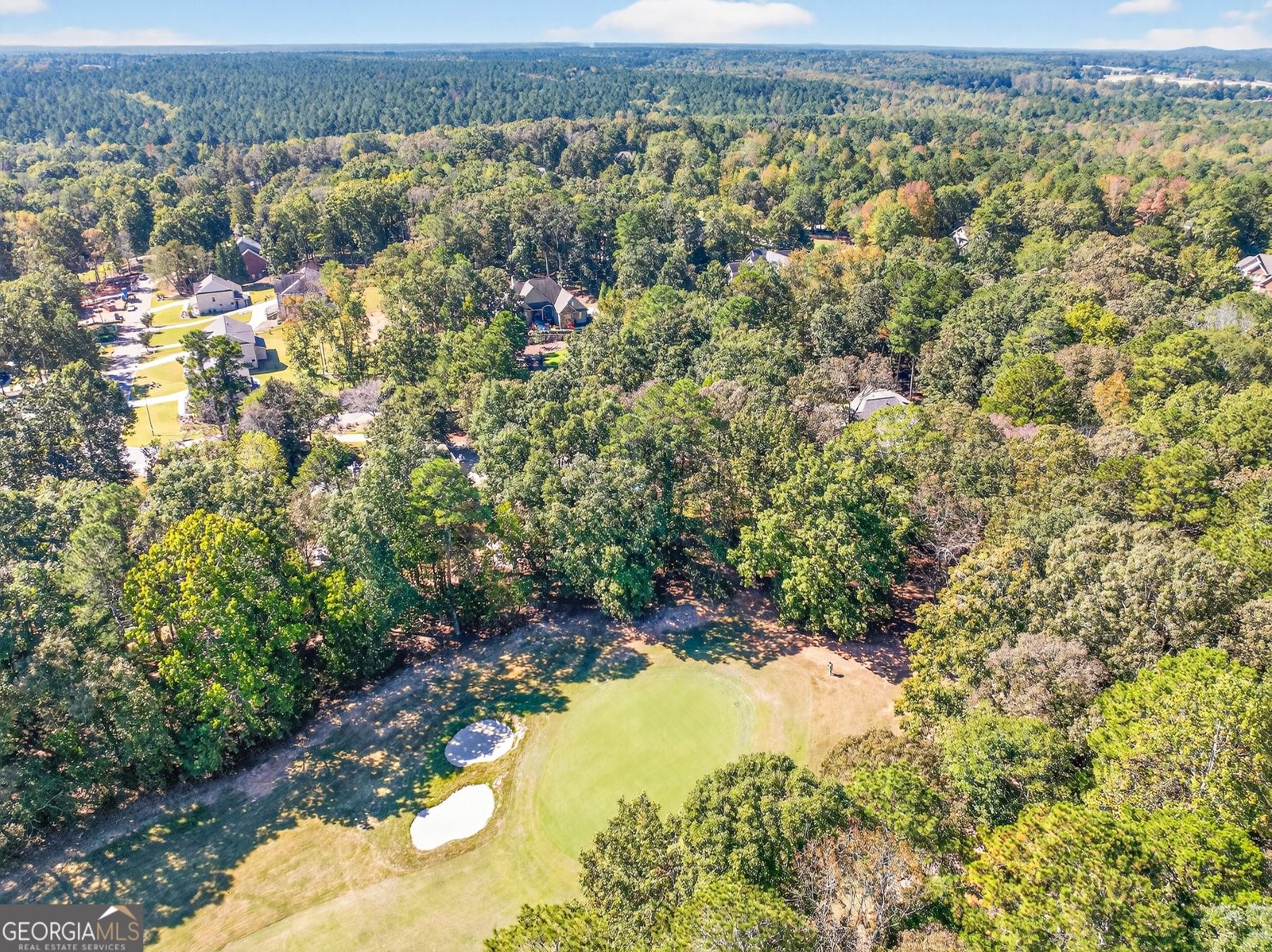 1770 Lane Creek Drive Bishop - Photo 98