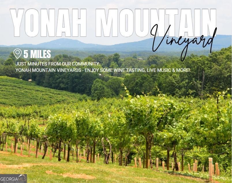 36 Village Court Cleveland - Photo 25