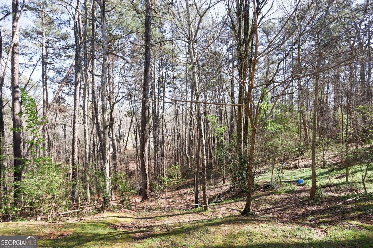 3710 Rambling Woods Drive Loganville - Photo 32