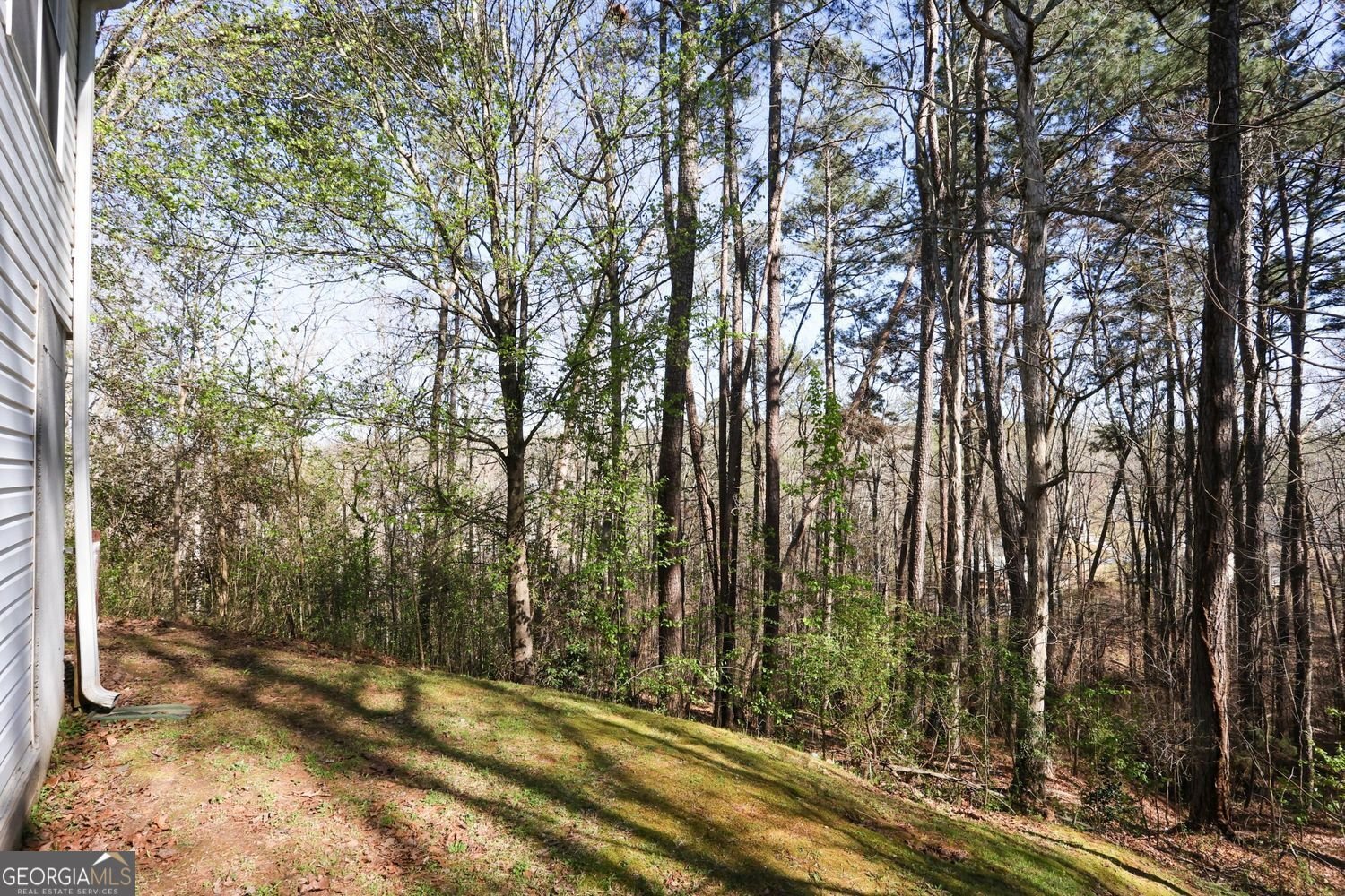 3710 Rambling Woods Drive Loganville - Photo 33