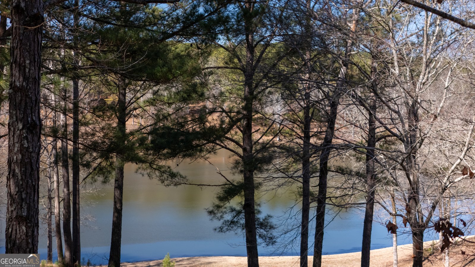 175 Thornton Road Franklin - Photo 102