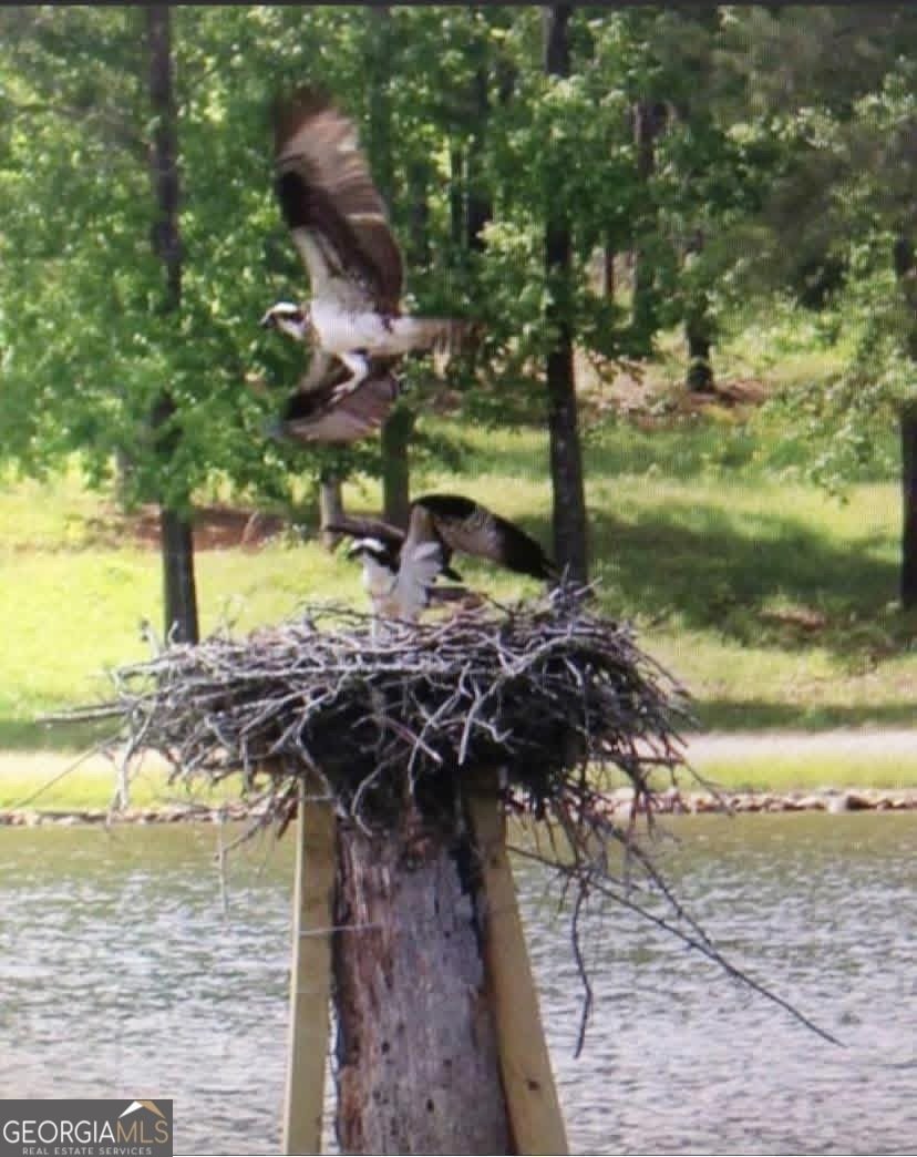 175 Thornton Road Franklin - Photo 107