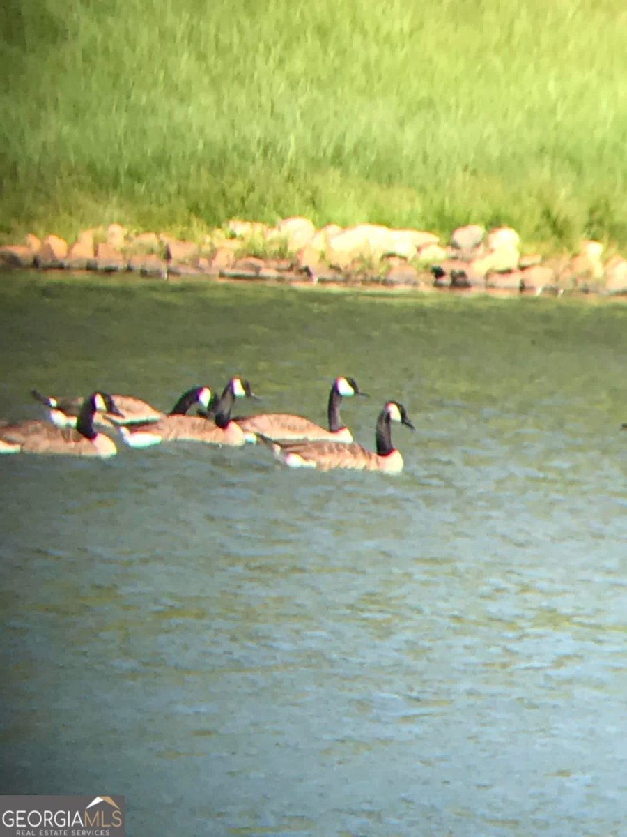 175 Thornton Road Franklin - Photo 109