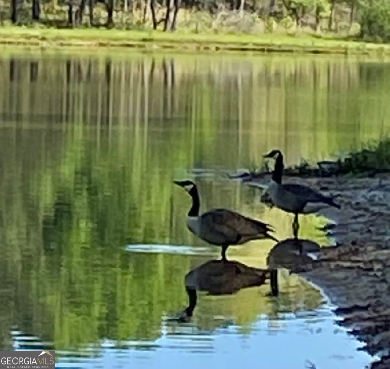 175 Thornton Road Franklin - Photo 110