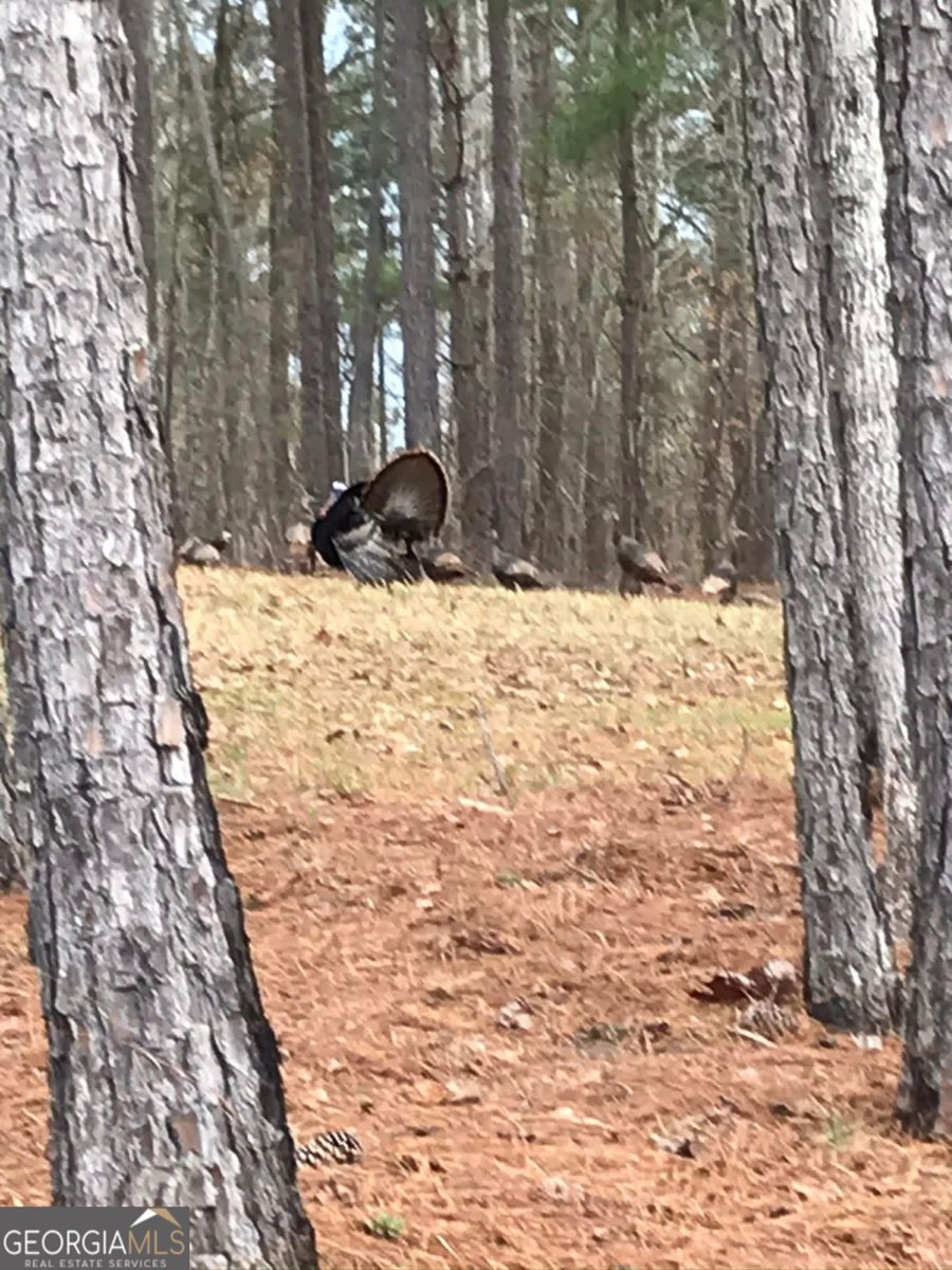 175 Thornton Road Franklin - Photo 114