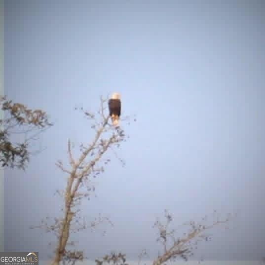 175 Thornton Road Franklin - Photo 116