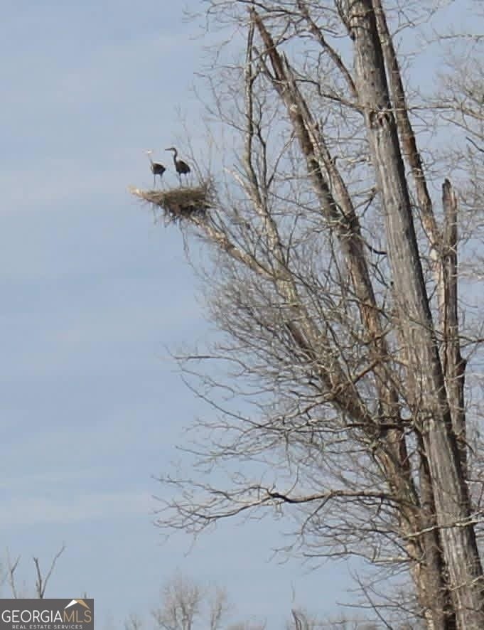 175 Thornton Road Franklin - Photo 118