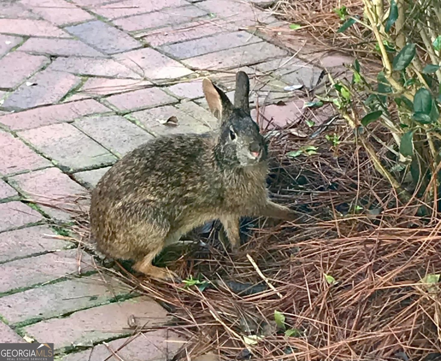 175 Thornton Road Franklin - Photo 120