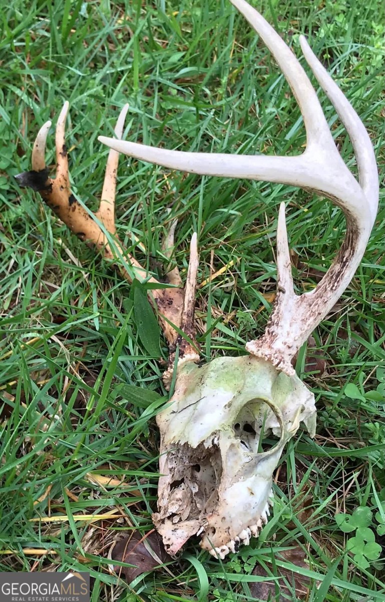 175 Thornton Road Franklin - Photo 121