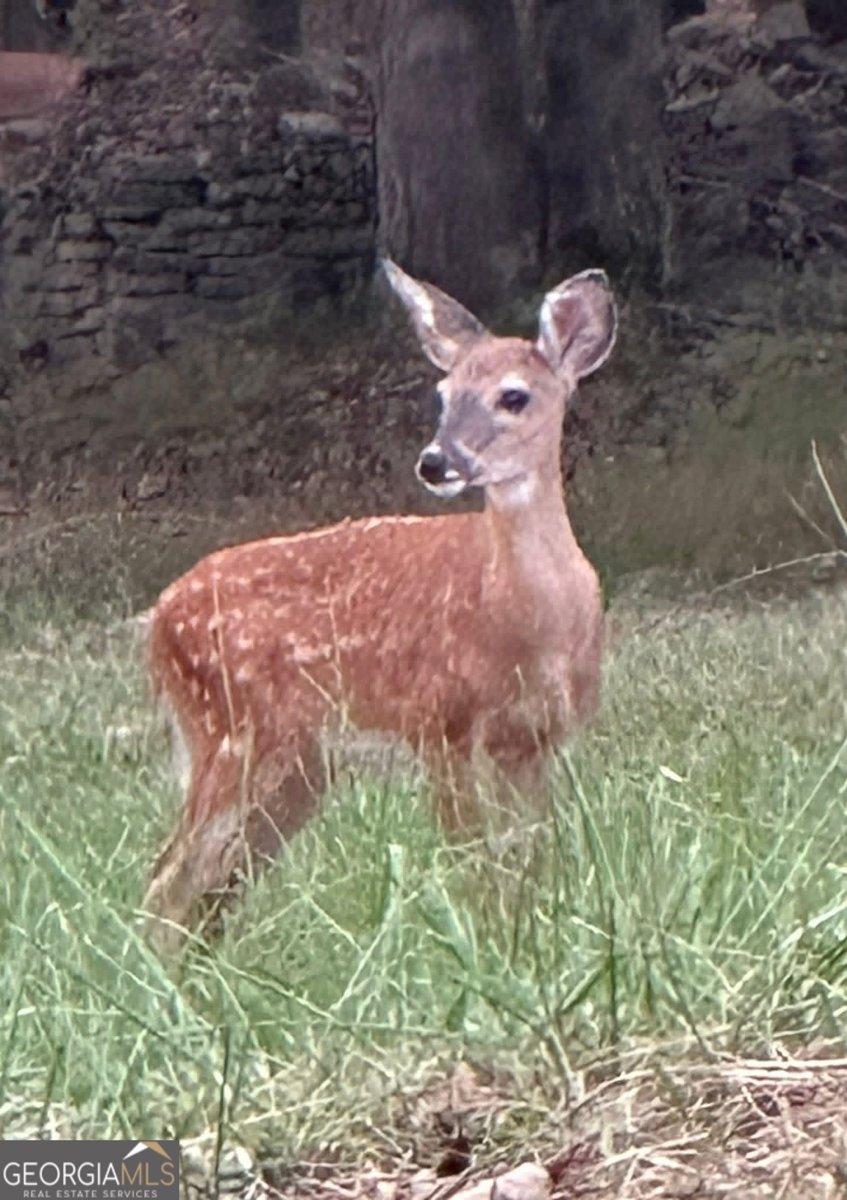 175 Thornton Road Franklin - Photo 122