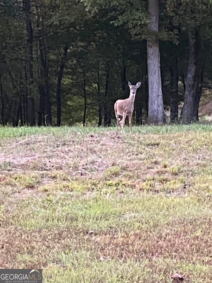 175 Thornton Road Franklin - Photo 123