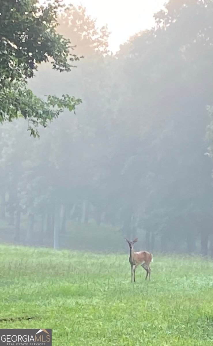 175 Thornton Road Franklin - Photo 124