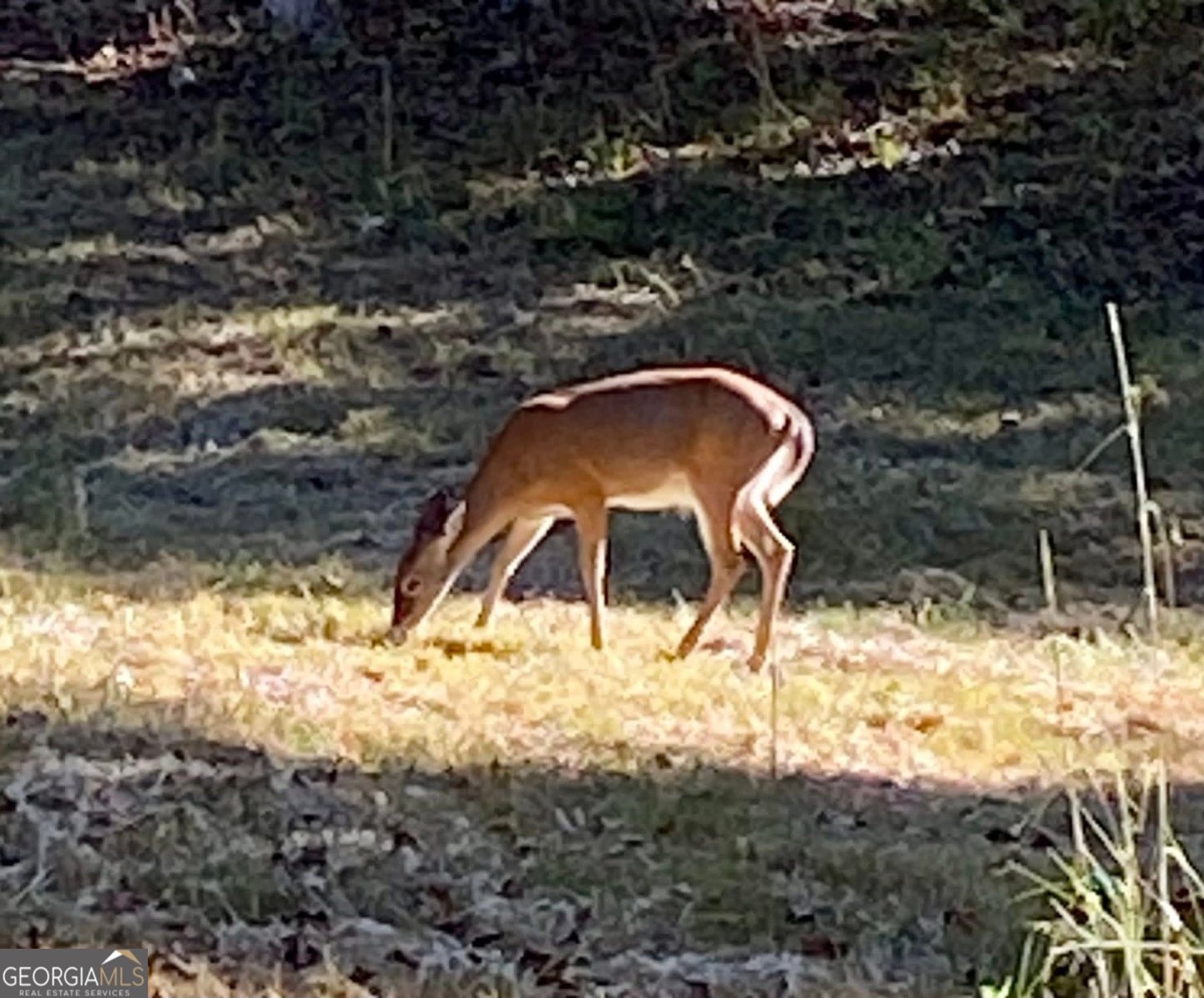 175 Thornton Road Franklin - Photo 125