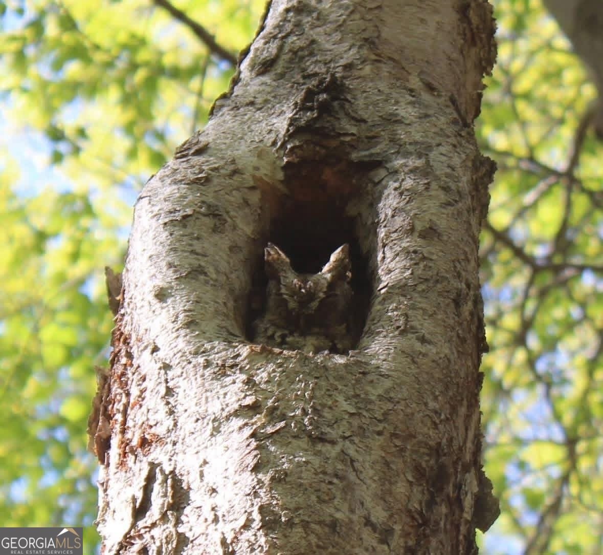 175 Thornton Road Franklin - Photo 127