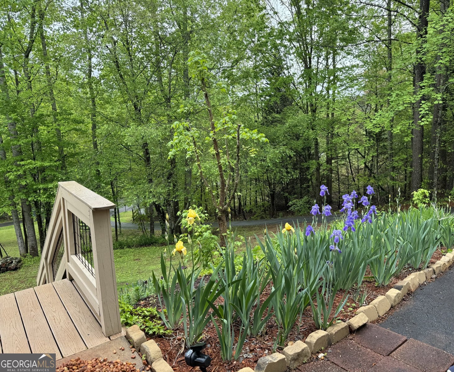 255 Prairie Flower Drive Cleveland - Photo 10