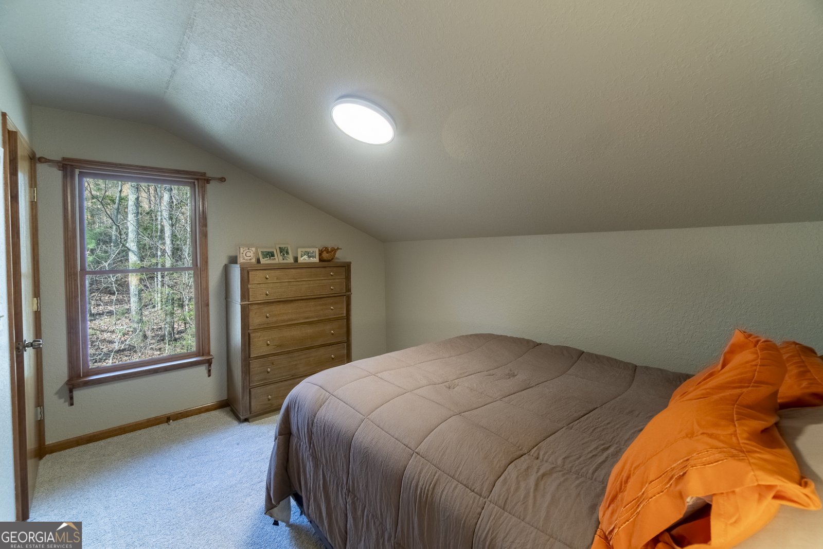 255 Prairie Flower Drive Cleveland - Photo 56