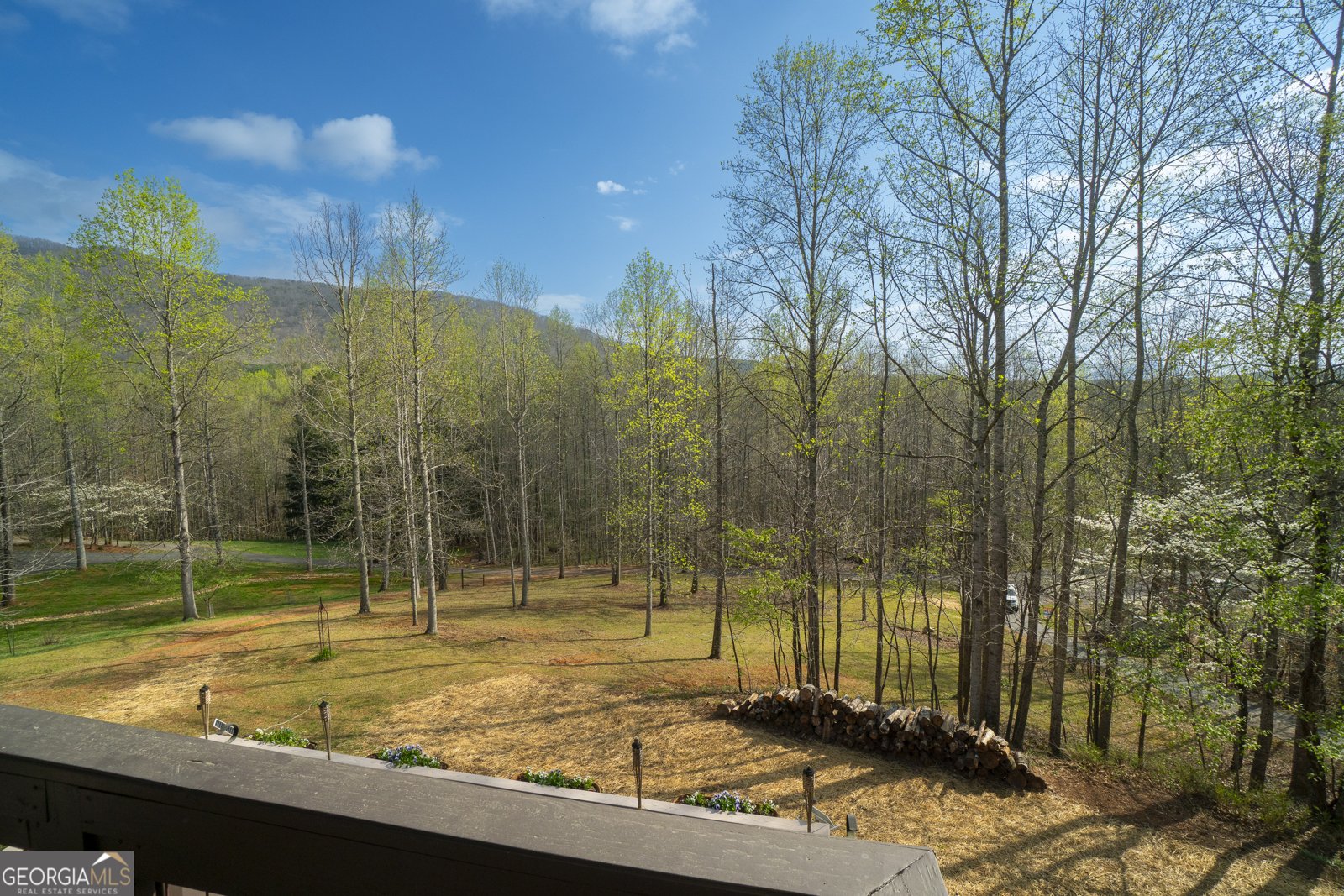 255 Prairie Flower Drive Cleveland - Photo 60