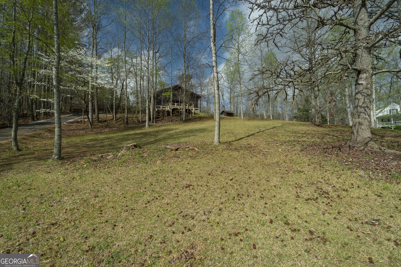 255 Prairie Flower Drive Cleveland - Photo 67