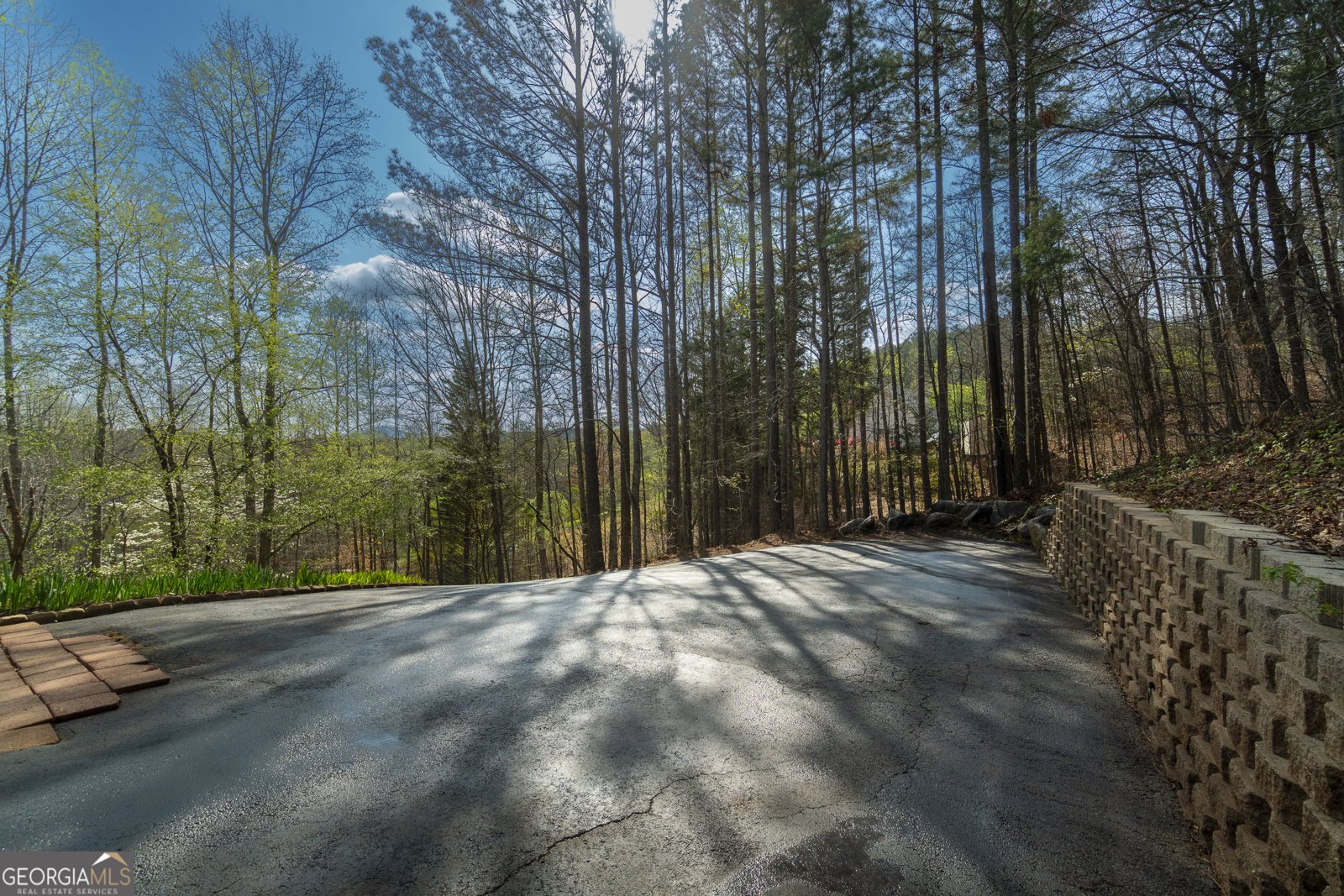 255 Prairie Flower Drive Cleveland - Photo 79