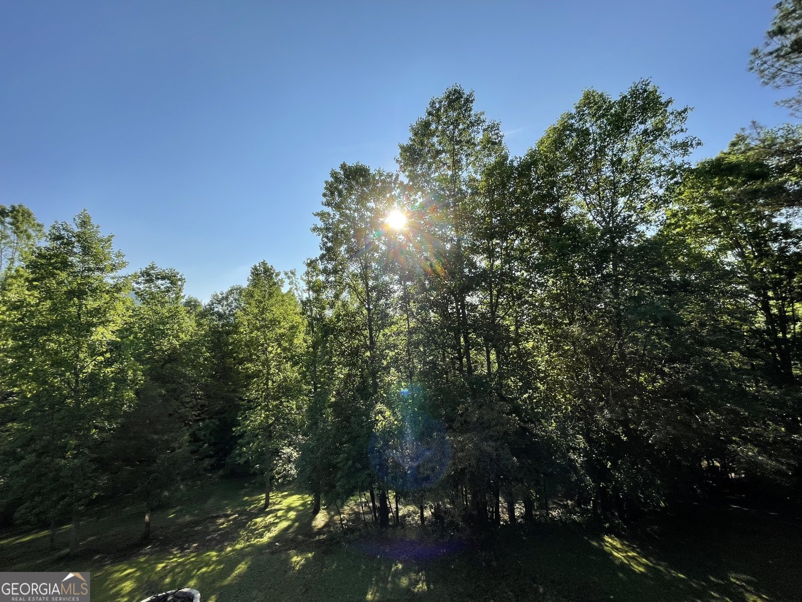 255 Prairie Flower Drive Cleveland - Photo 9