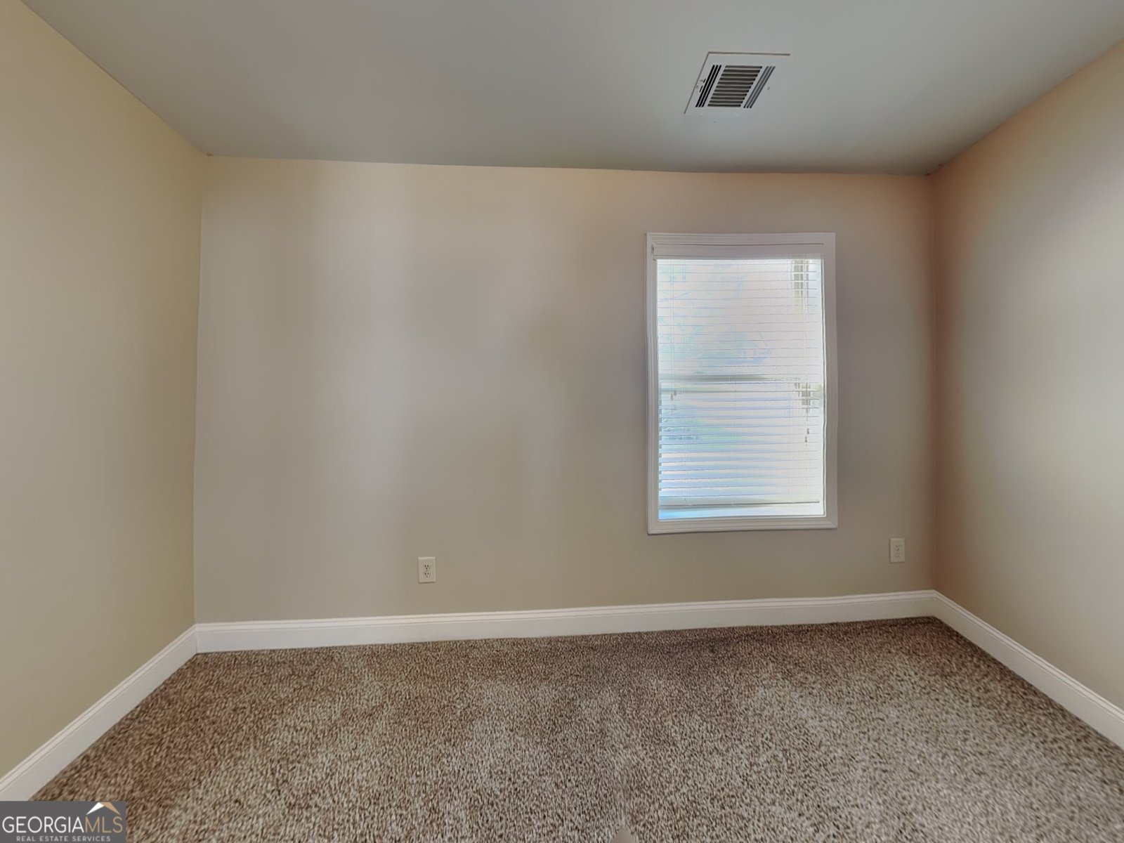 454 Cherry Creek Drive Loganville - Photo 12
