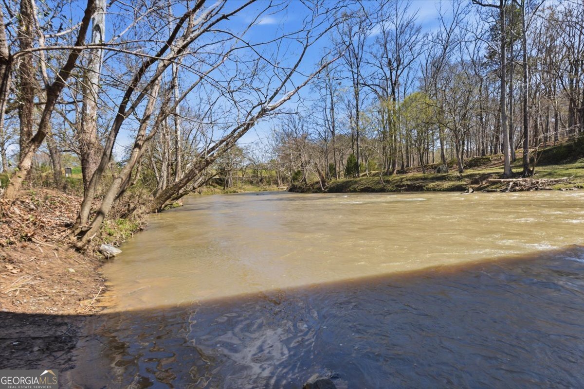 109 River Walk Parkway Euharlee - Photo 110