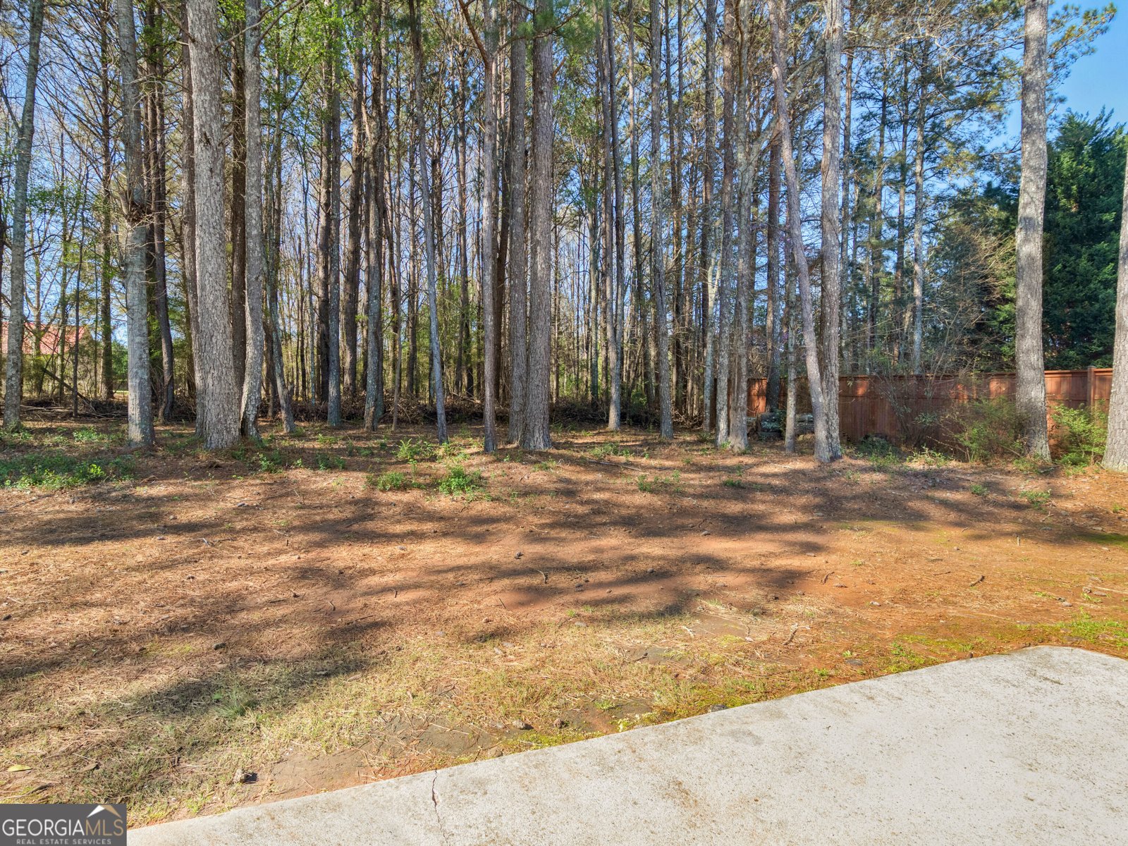 1250 McAllistar Drive Locust Grove - Photo 48