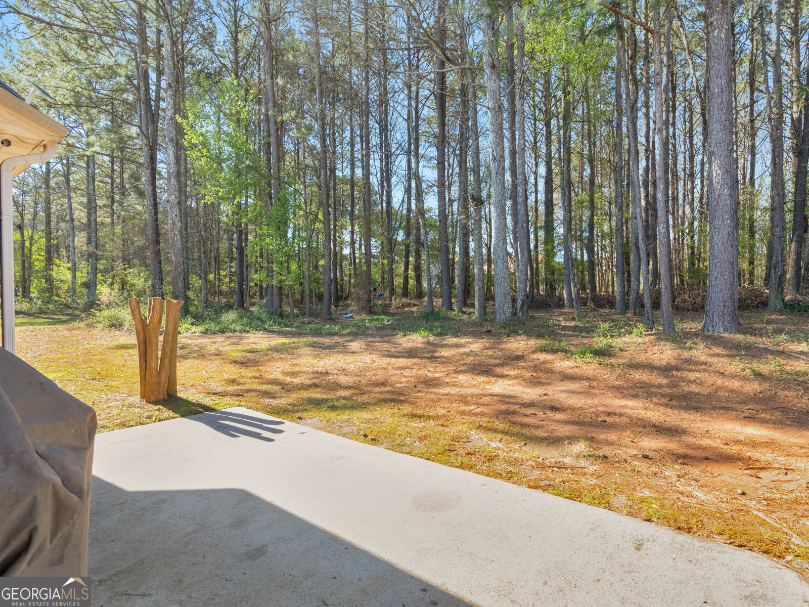 1250 McAllistar Drive Locust Grove - Photo 49