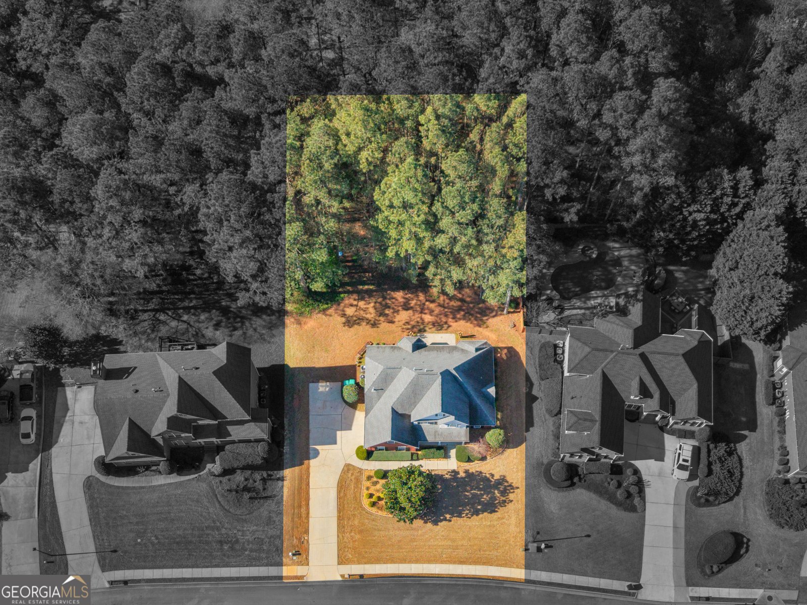 1250 McAllistar Drive Locust Grove - Photo 53