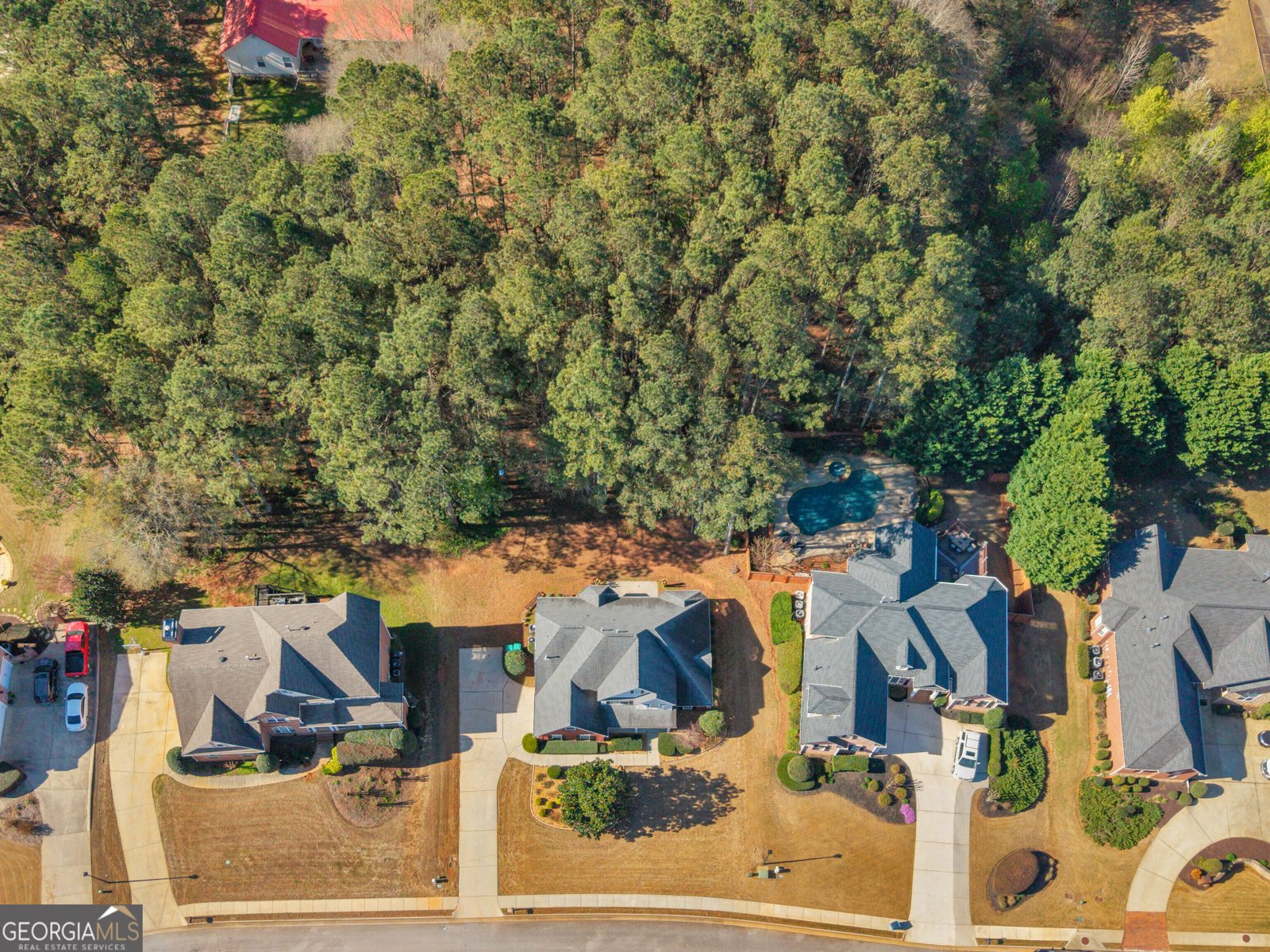 1250 McAllistar Drive Locust Grove - Photo 54