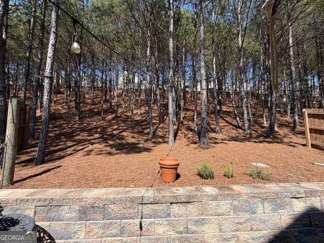 331 Alcovy Way Woodstock - Photo 6