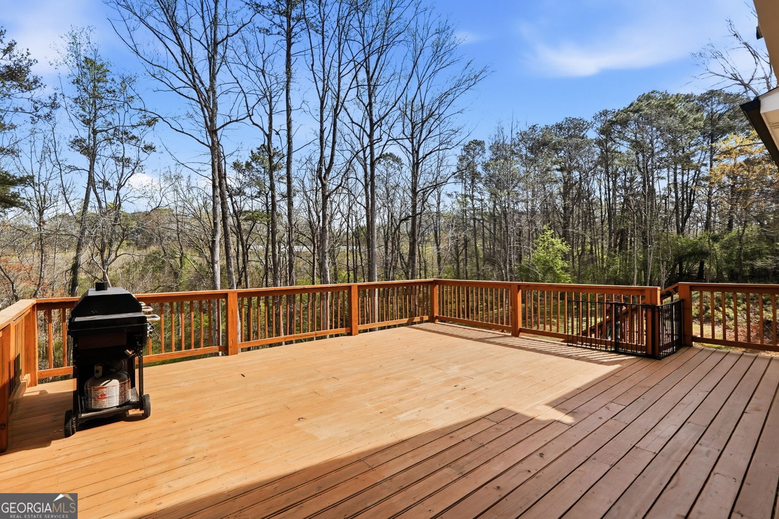 106 Belmont Drive Canton - Photo 85