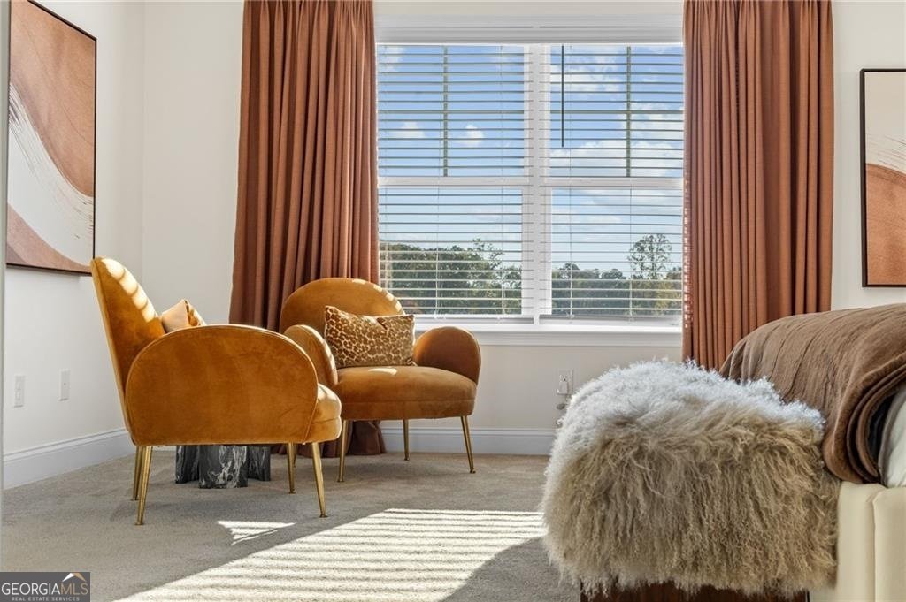 7232 Millbrae Walk Flowery Branch - Photo 15