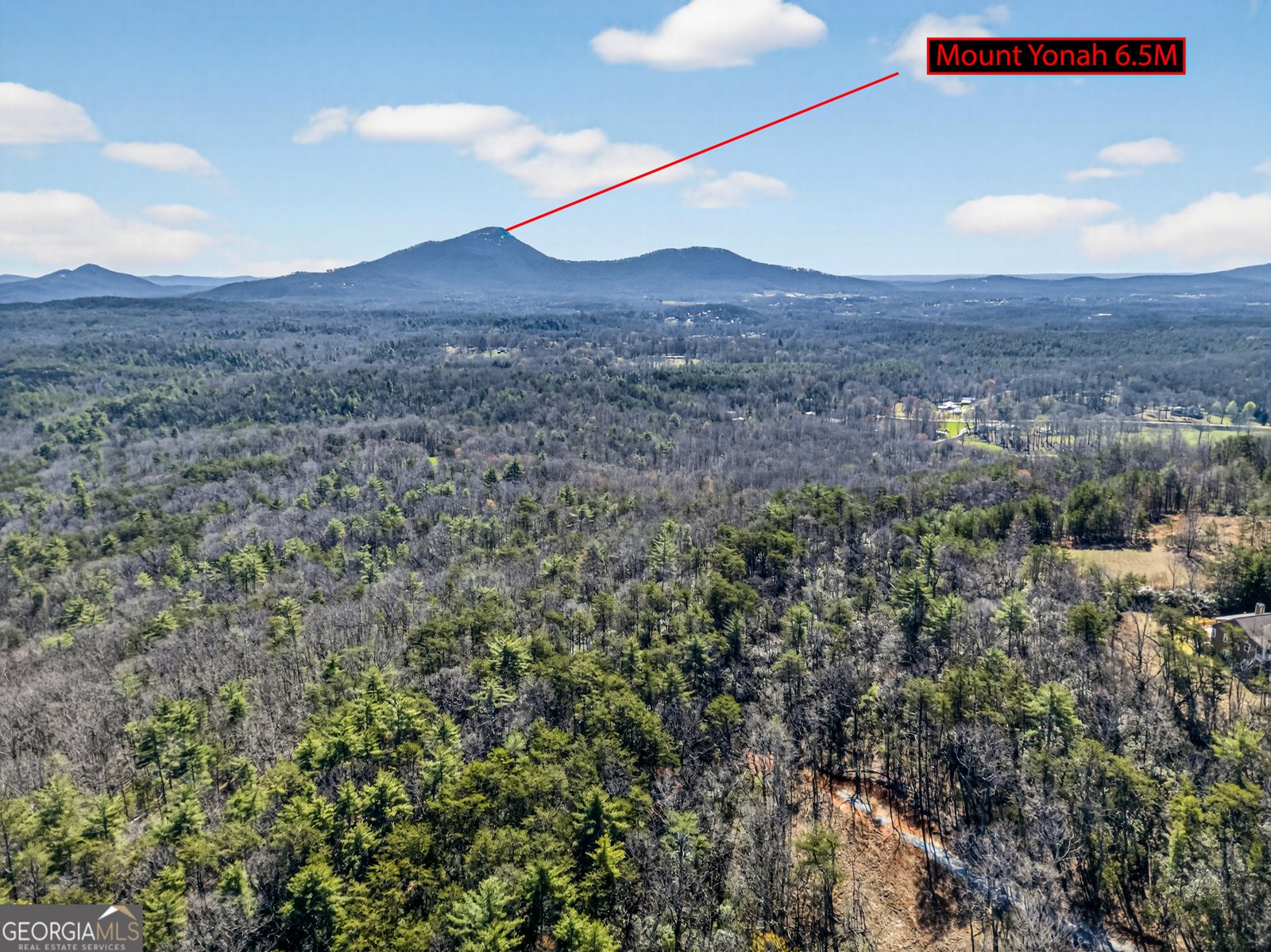 116 Farmette Drive Cleveland - Photo 55