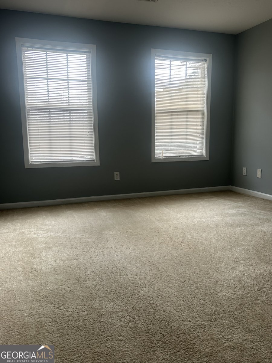 1433 Cotton Trail Conyers - Photo 29