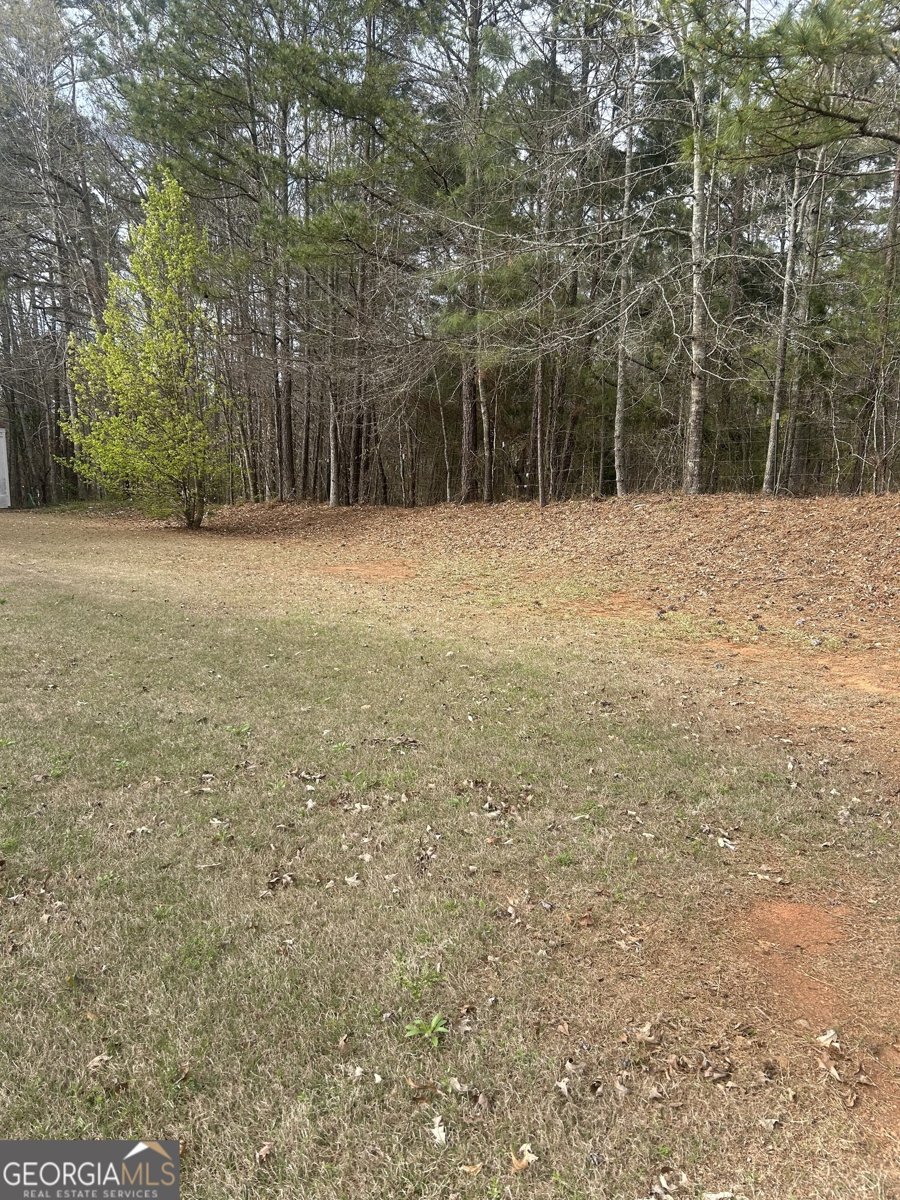 1433 Cotton Trail Conyers - Photo 30