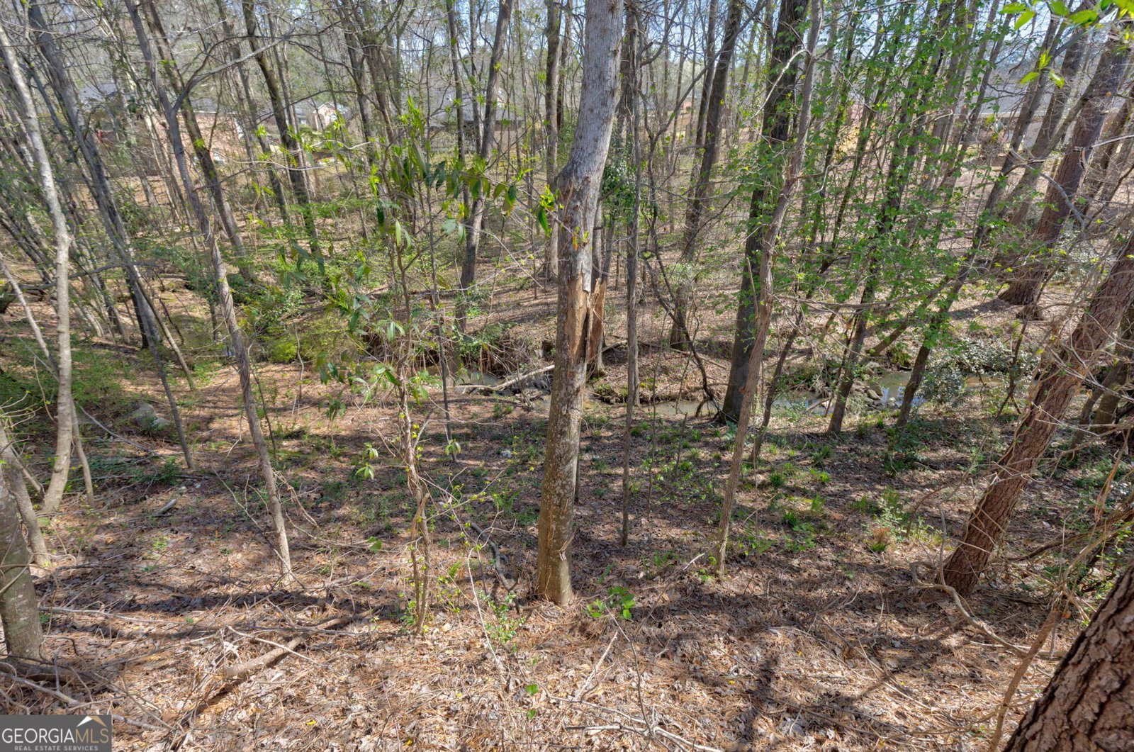 1477 Ridge Creek Way Columbus - Photo 27