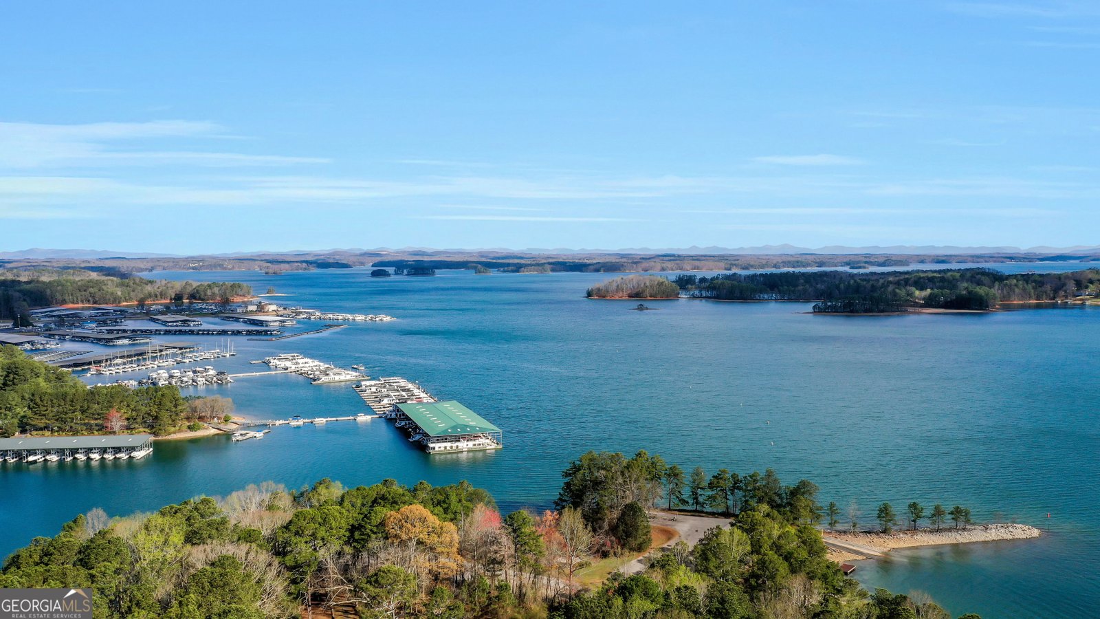 135 Slate Drive Buford - Photo 64