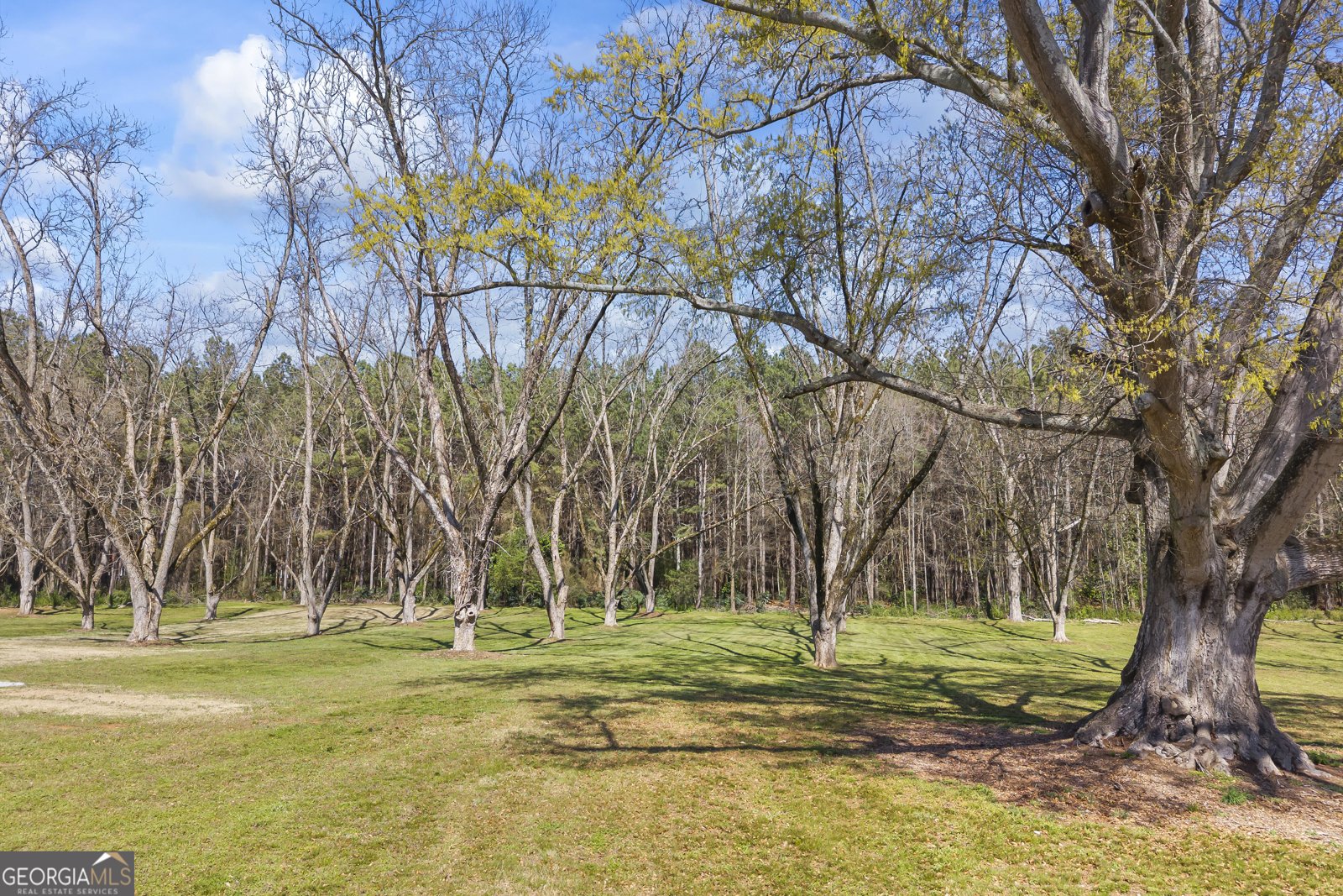 215 Hartwell Road Lavonia - Photo 14