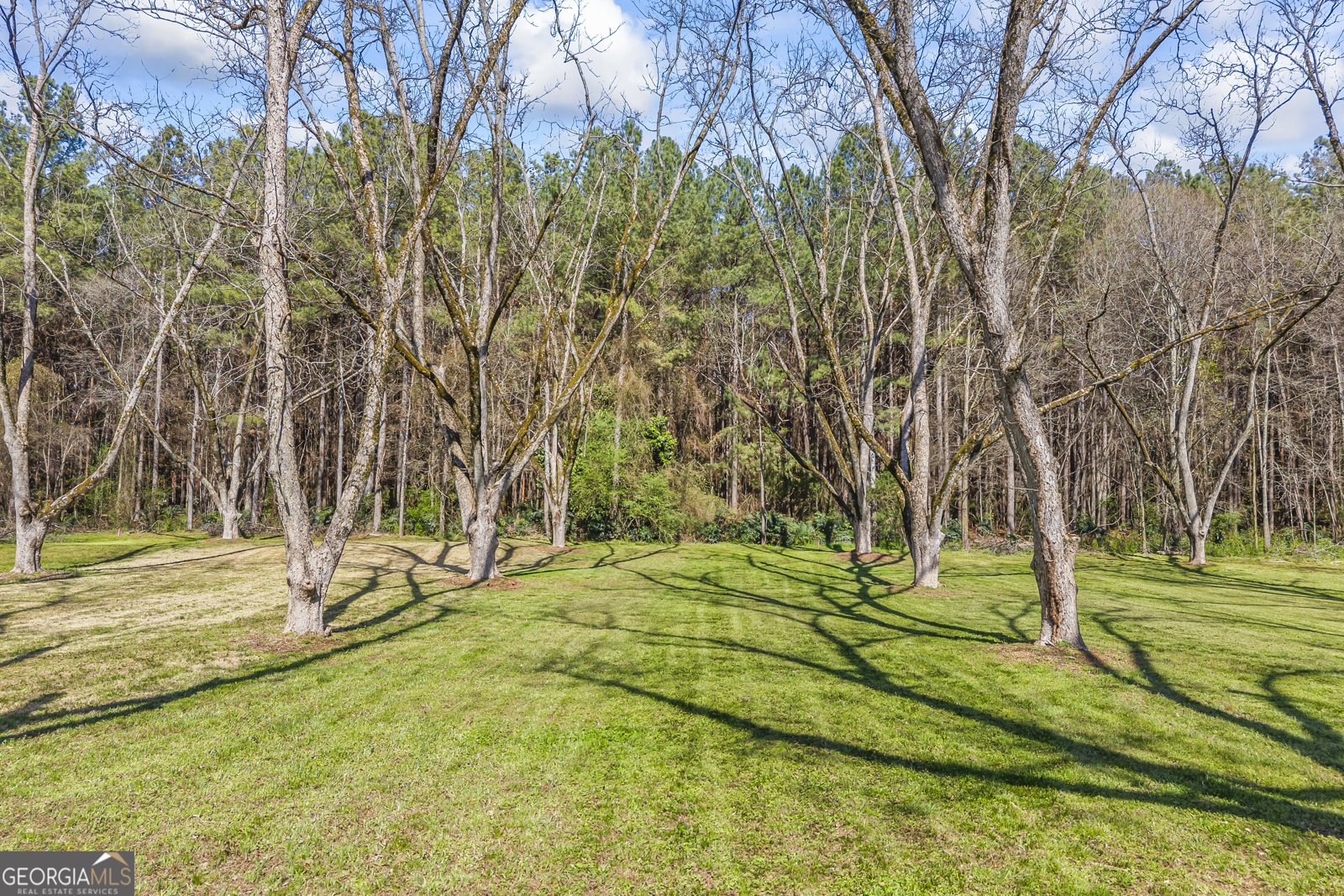 215 Hartwell Road Lavonia - Photo 15